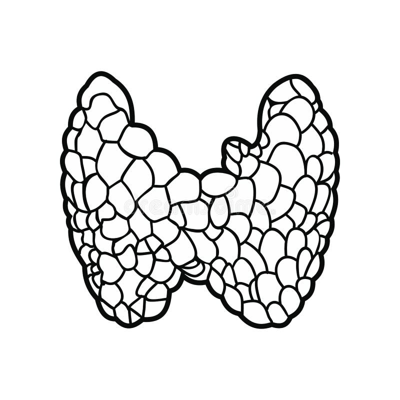 Thyroid black icon royalty free illustration