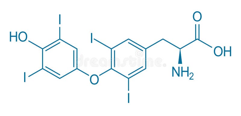 Thyroxin-chemische Formel Atomstruktur des Moleküls stock abbildung