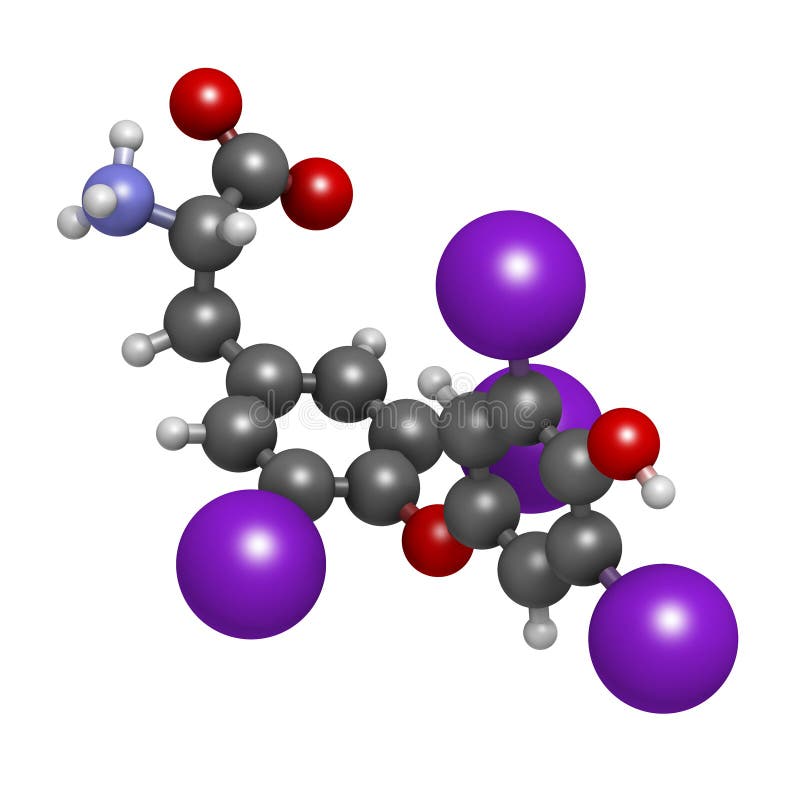 Thyroxine molecule, chemical structure. Thyroid gland hormone th stock illustration Thyroxine molecule, chemical structure. Thyroid gland hormone th stock illustration