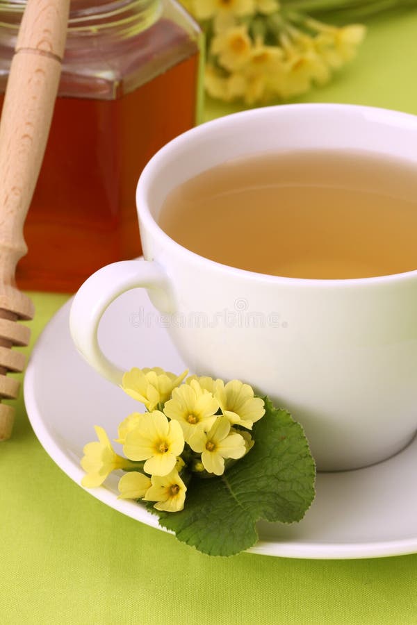 Thé de fines herbes avec les primevères et le miel photo libre de droits Thé de fines herbes avec les primevères et le miel photo libre de droits