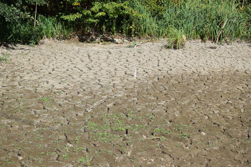 Thür, Germany - 09 08 2022: cracked lake ground of a small swamp lake stock image