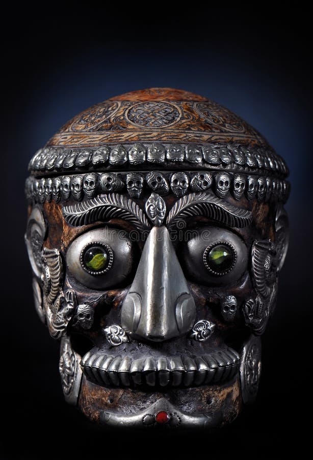 Tibetan man skull stock images