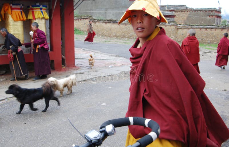 Tibetan monks royalty free stock photography