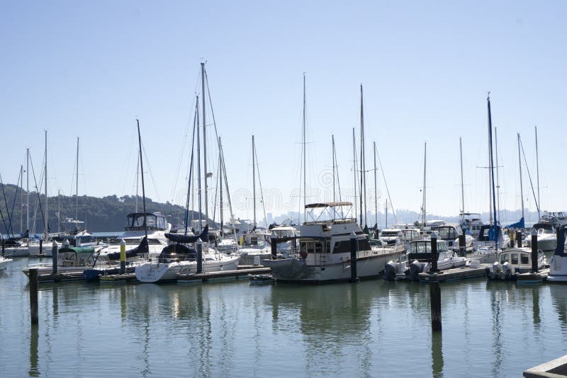 Tiburon Marina