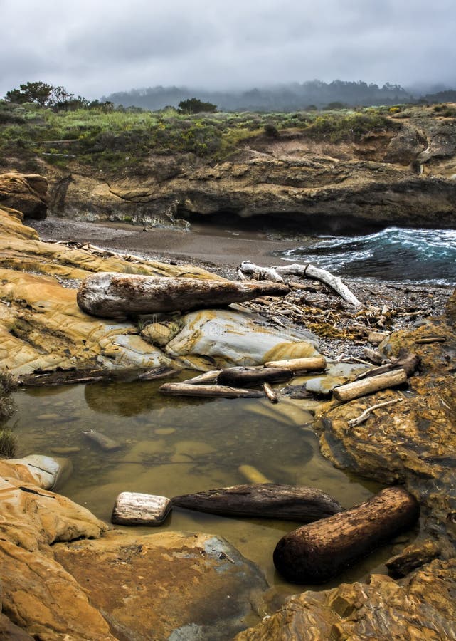 Tidepools und Treibholz auf Kalifornien-Küstenmeerblick lizenzfreie stockbilder Tidepools und Treibholz auf Kalifornien-Küstenmeerblick lizenzfreie stockbilder