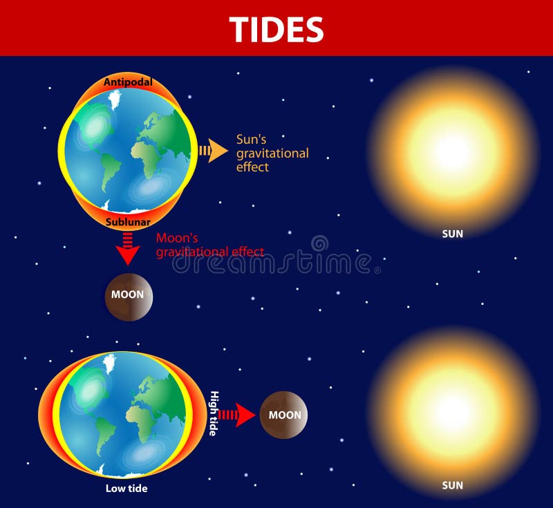 Tides. Vector diagram.