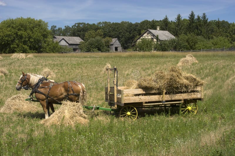 Tiempo de cosecha de la granja del carro del heno de las personas del caballo imagen de archivo libre de regalías Tiempo de cosecha de la granja del carro del heno de las personas del caballo imagen de archivo libre de regalías