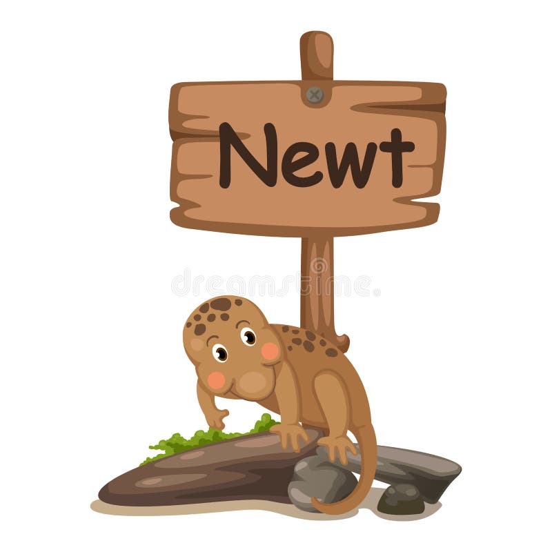 TieralphabetBuchstabe N für Newt vektor abbildung TieralphabetBuchstabe N für Newt vektor abbildung