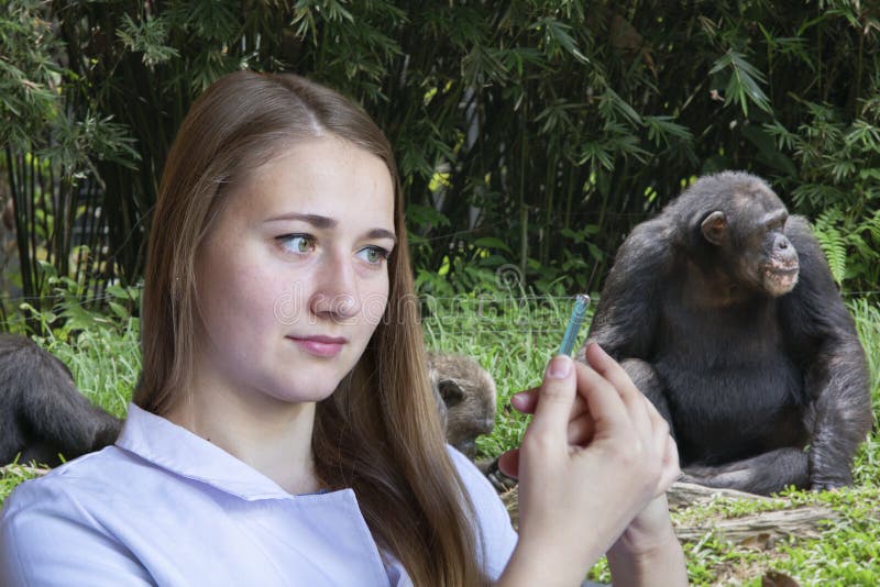Tierarzt der jungen Frau im Hintergrund der Schimpansefamilie stockfotos Tierarzt der jungen Frau im Hintergrund der Schimpansefamilie stockfotos