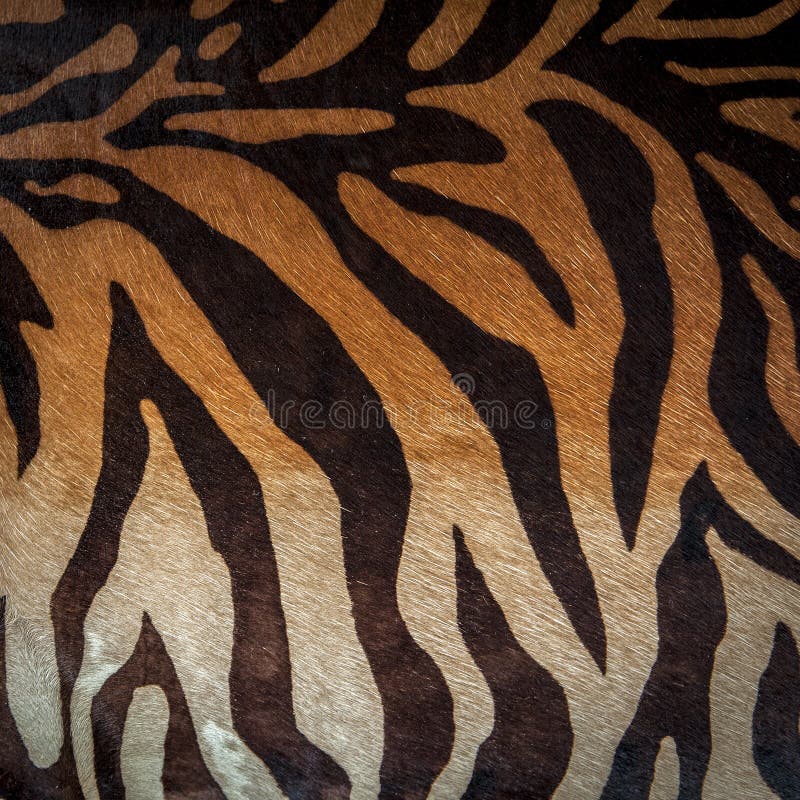 Tierisches nahtloses Muster des abstrakten Druckes Zebra, Tigerstreifen Gestreifte wiederholende Hintergrundbeschaffenheit Gewebe lizenzfreie stockbilder Tierisches nahtloses Muster des abstrakten Druckes Zebra, Tigerstreifen Gestreifte wiederholende Hintergrundbeschaffenheit Gewebe lizenzfreie stockbilder