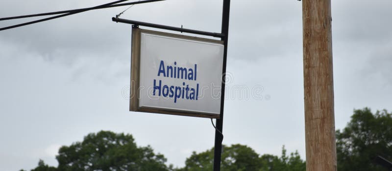 Animal hospital for pet Emergencies where a veterinarian treats wounded or sick cats, dogs or other domesticated animals. Animal hospital for pet Emergencies where a veterinarian treats wounded or sick cats, dogs or other domesticated animals.