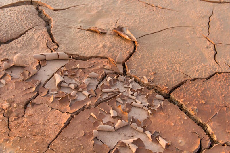 Tierra en la sequía, la textura y el fango seco, tierra del suelo con agrietado seco foto de archivo