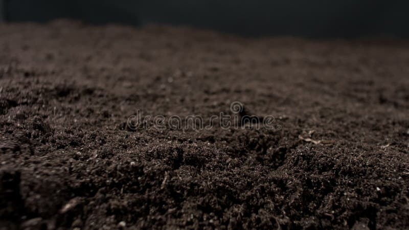 Tierra Negra Del Suelo Del Jardín Metrajes - Vídeo de fondo, pista ...