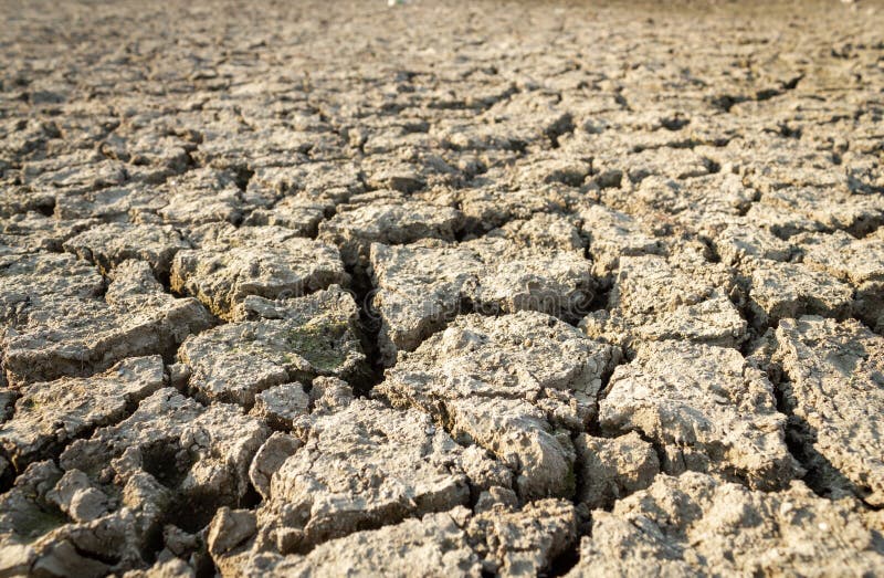 Tierra seca agrietada deshidratada como resultado del calentamiento global y la sequía