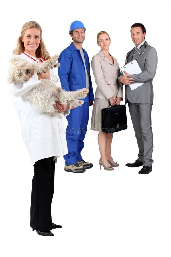 Tierärztliche Arbeitskräfte im Hintergrund lizenzfreies stockfoto Tierärztliche Arbeitskräfte im Hintergrund lizenzfreies stockfoto
