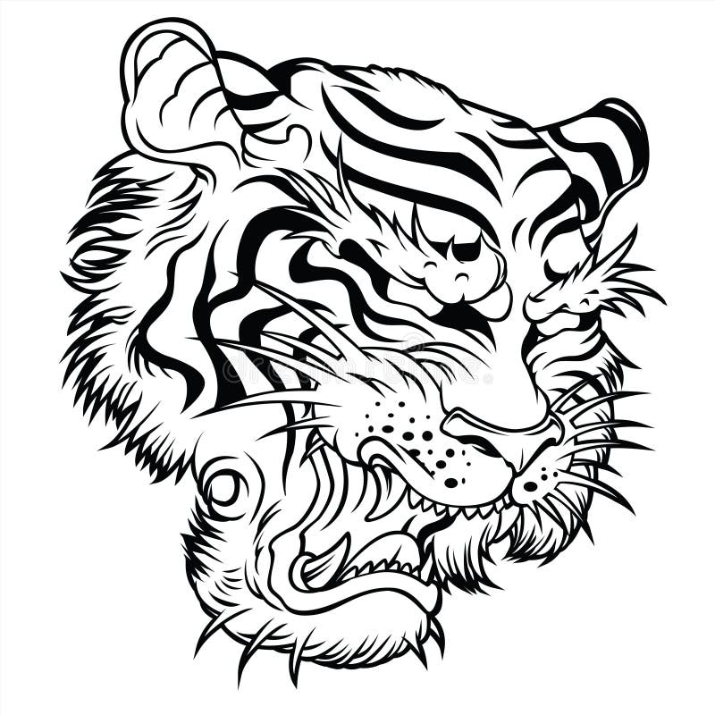 Tiger Angry Tiger Face Tiger Knife Head Tiger Tattoo Vector ...