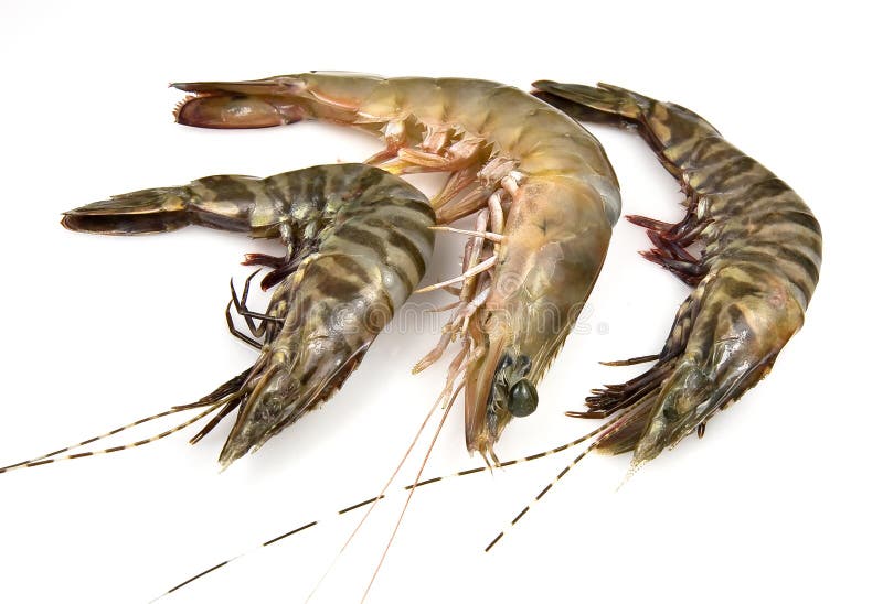 1,173 Banana Prawn Photos Free & RoyaltyFree Stock Photos from
