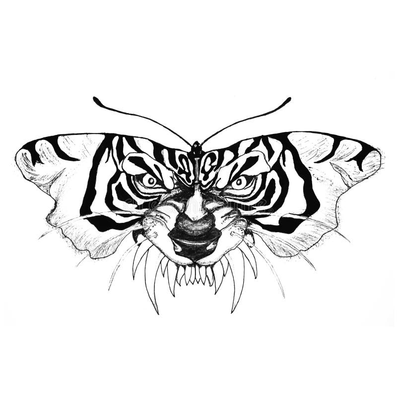 Tiger butterfly hand drawn illusion artwork stock illustration