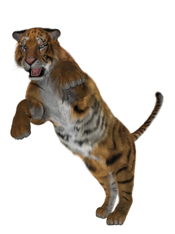 tiger 3D royaltyfri bild tiger 3D royaltyfri bild