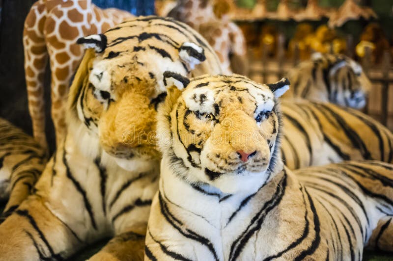 Tiger Dolls stock image. Image of tigers, animals, stripes 37533973