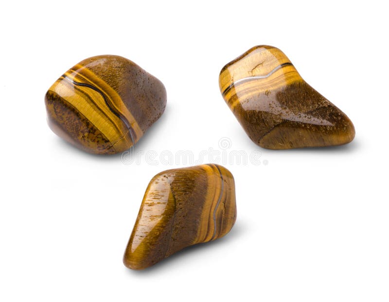 Tiger Eye immagine stock Tiger Eye immagine stock