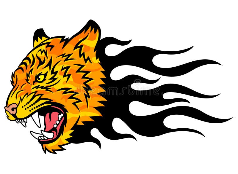 Tiger on fire stock vector. Illustration of design, isolated - 35322912