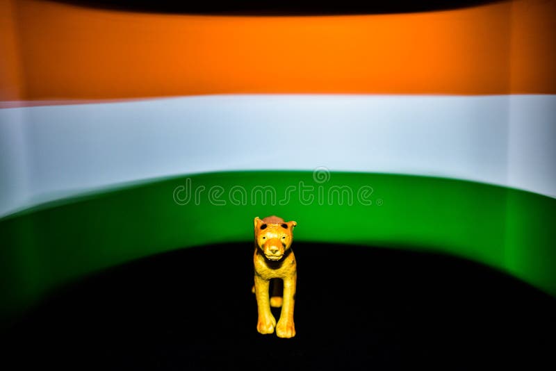 A Tiger in Front of the Indian Flag in the Background with Black Floor  .Long Exposure Photography of Flag Stock Photo - Image of design,  hindustani: 193027366