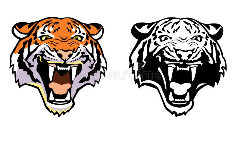 Tiger head stock illustration