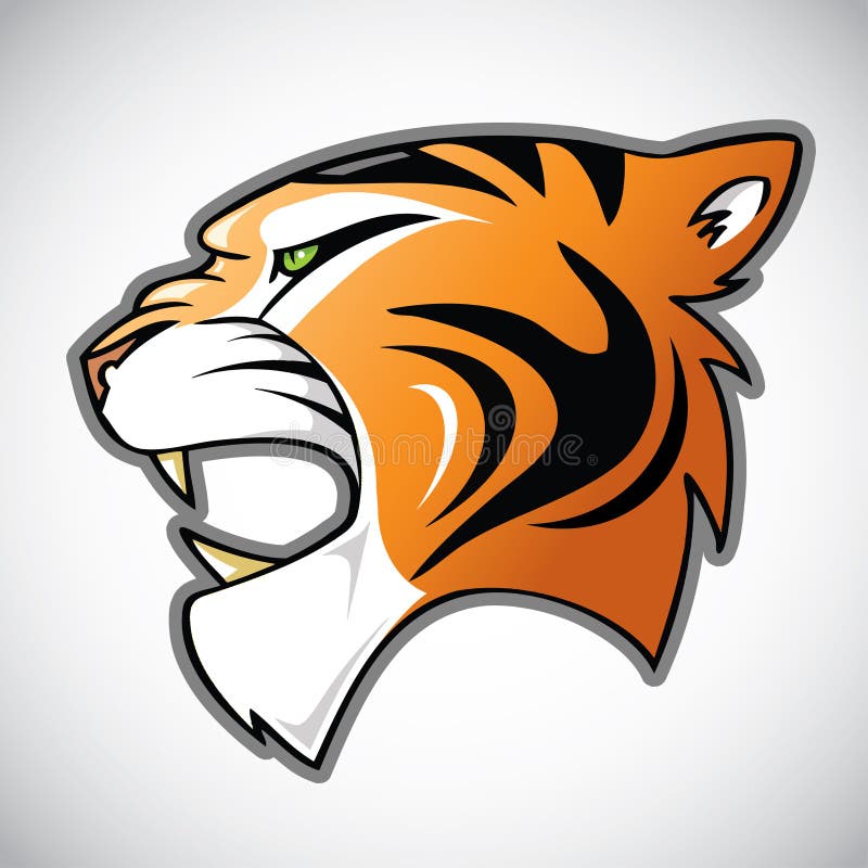 Tiger head vector illustration