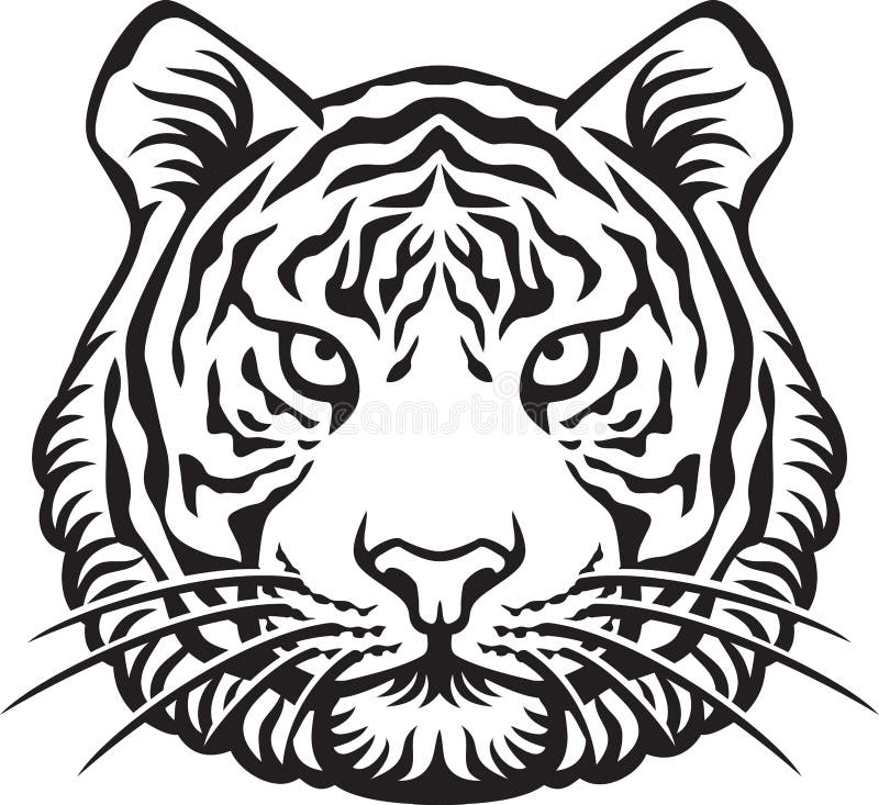 Tiger Head Black and White Vector Stock Illustration - Illustration of ...