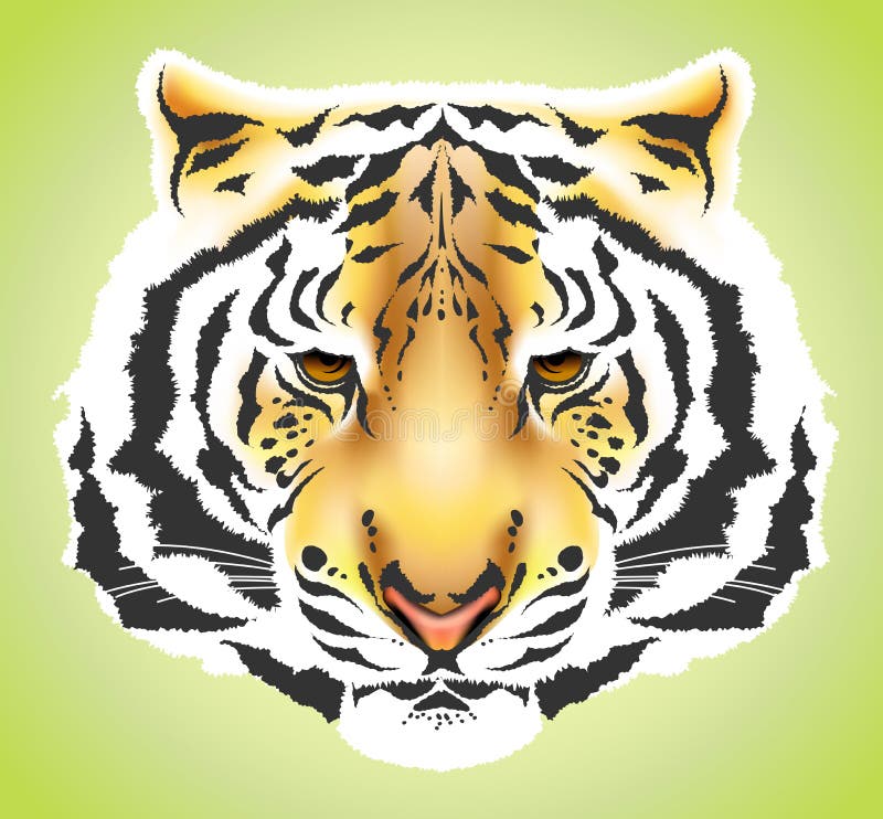 White tiger silhouette stock vector. Illustration of head - 14496816