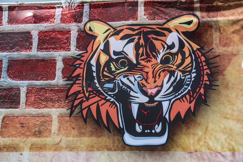 Tiger head royalty free stock images Tiger head royalty free stock images