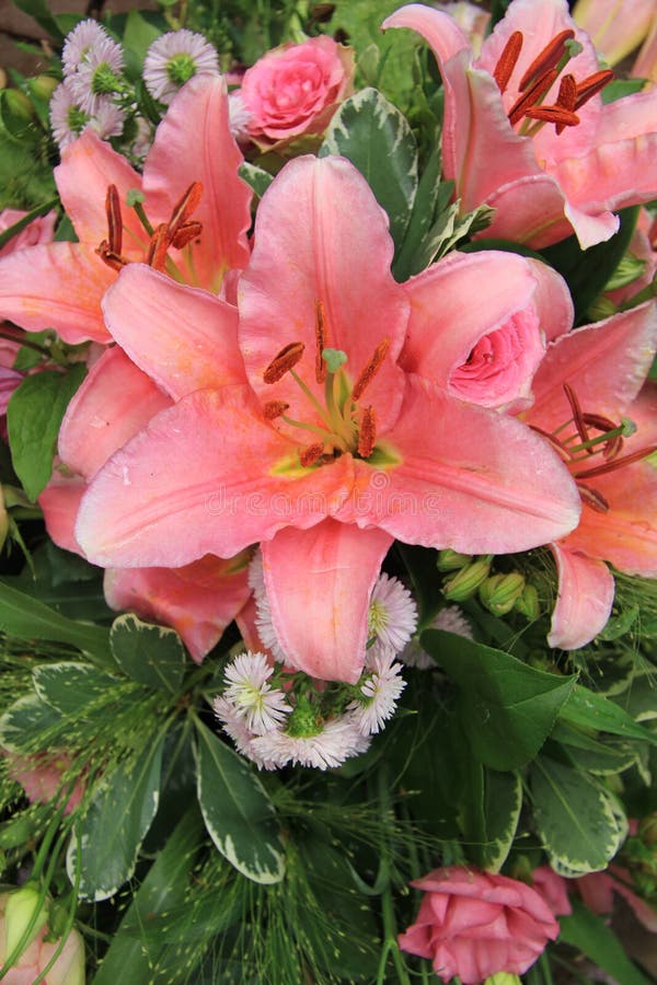 231 Tiger Lily Flower Arrangement Stock Photos Free & RoyaltyFree