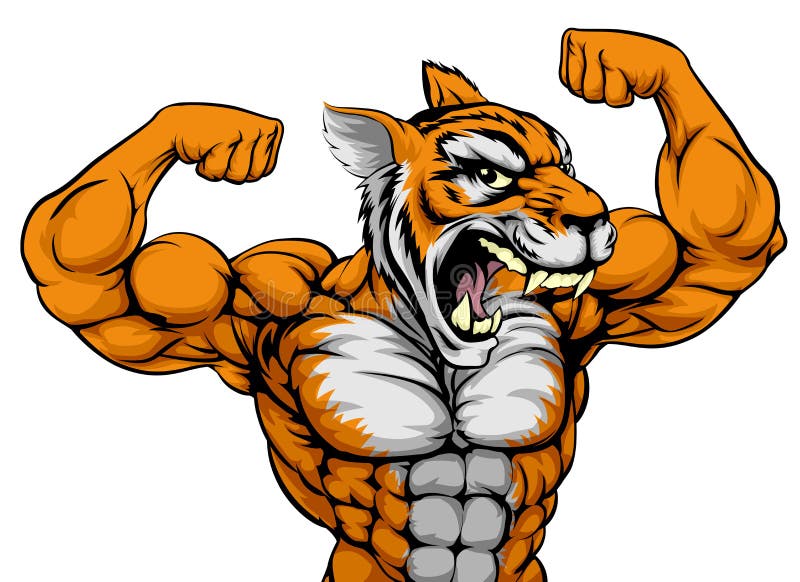 Muscular Tiger Cartoon Illustrations & Vectors