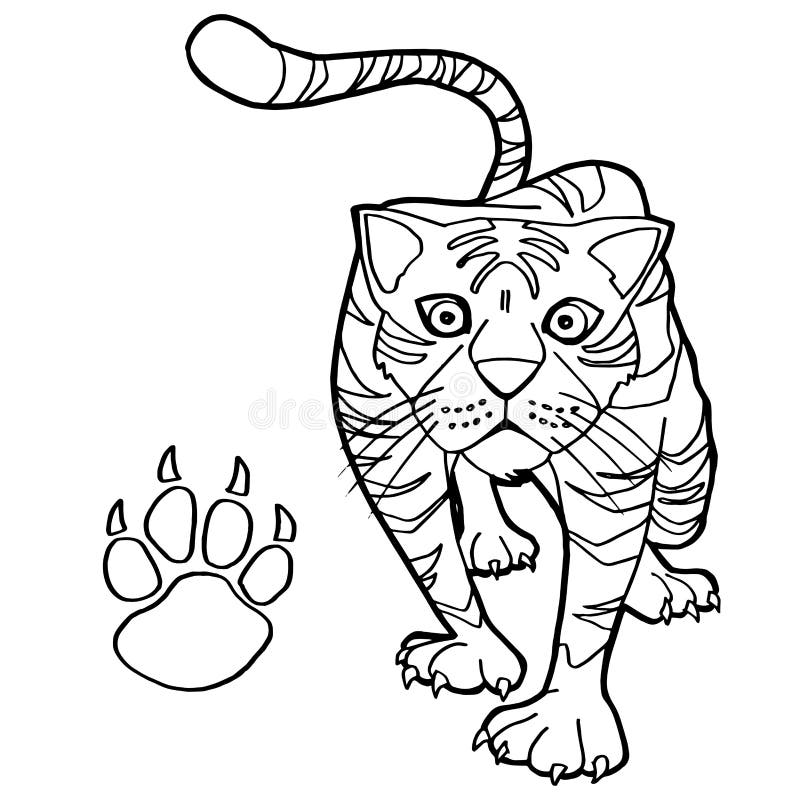 Tiger with Paw Print Coloring Page Vector Stock Vector - Illustration ...