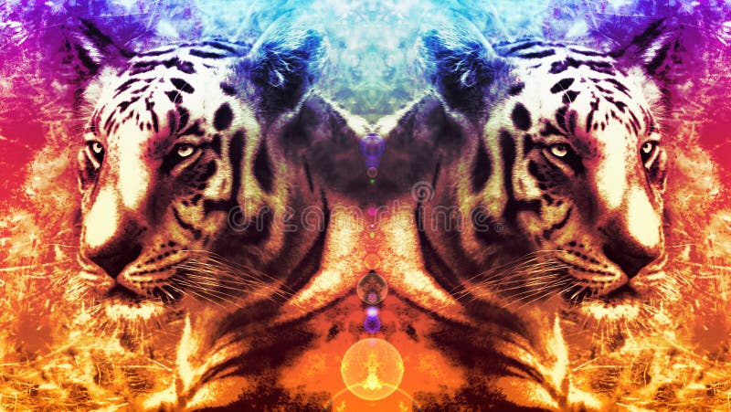 Tiger Poster Design Wallpaper. Stock Image - Image of wildlife, aggressive:  185012981