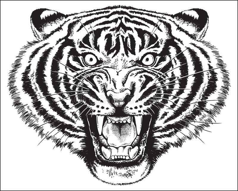 Tiger Roar Black And White - Rizop