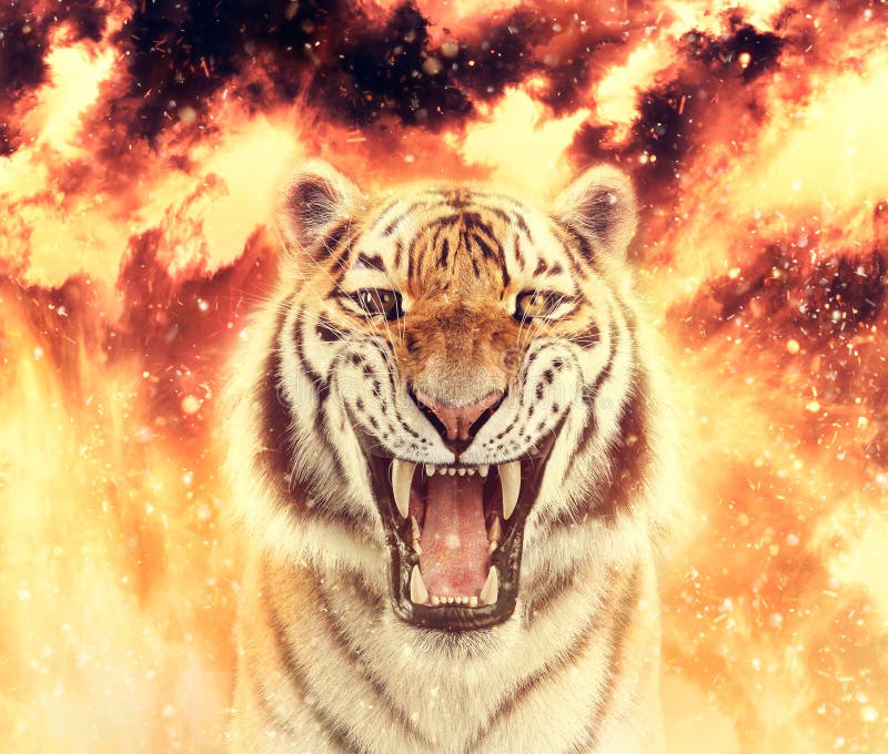Tiger Roar on Fire. Energy, Power or Anger Stock Illustration ...