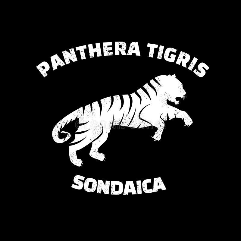 Tiger Silhouette Logo with Tittle Panthera Tigris Sondanica Stock ...