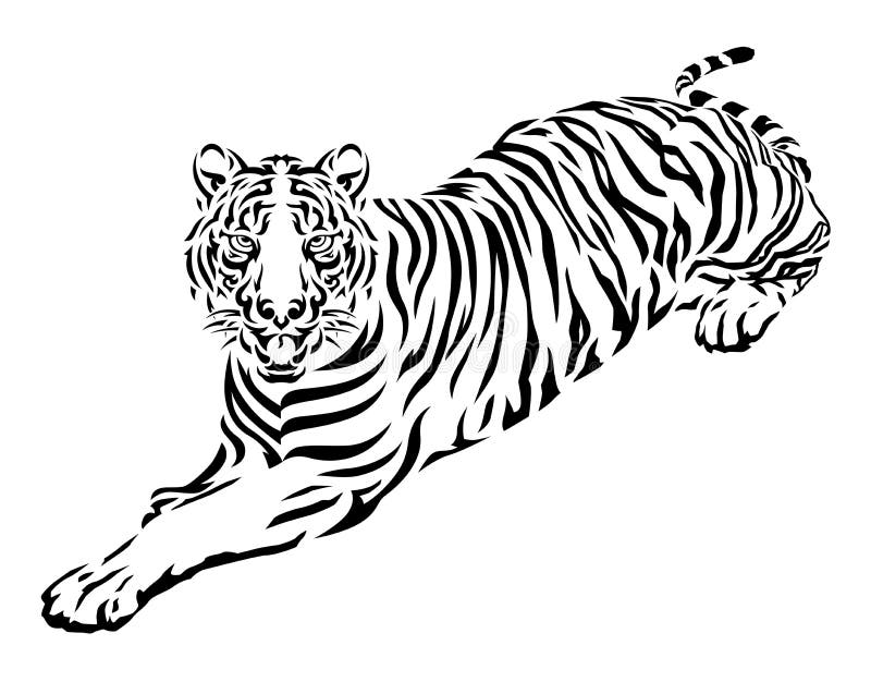 Tiger Cartoon png download  13461913  Free Transparent Tiger png  Download  CleanPNG  KissPNG