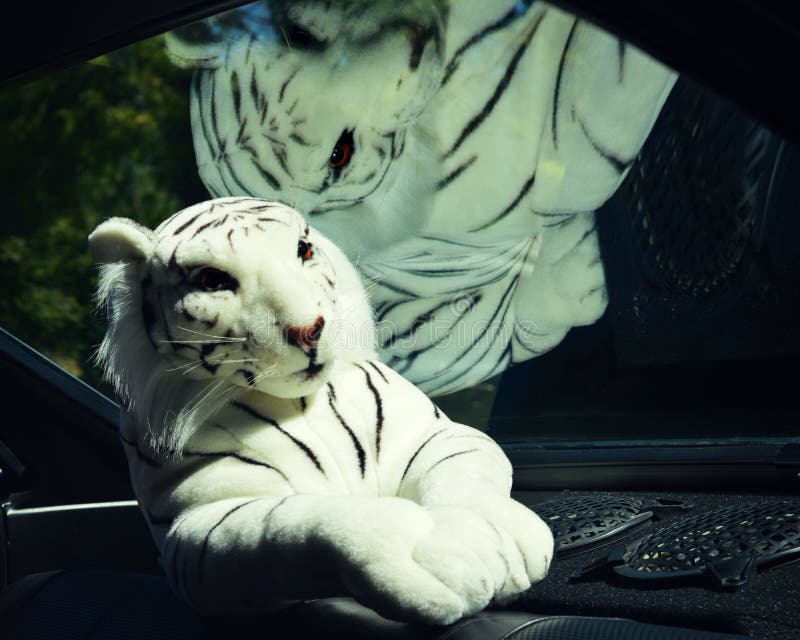 Tiger Stuffed Animal bianco fotografia stock libera da diritti Tiger Stuffed Animal bianco fotografia stock libera da diritti