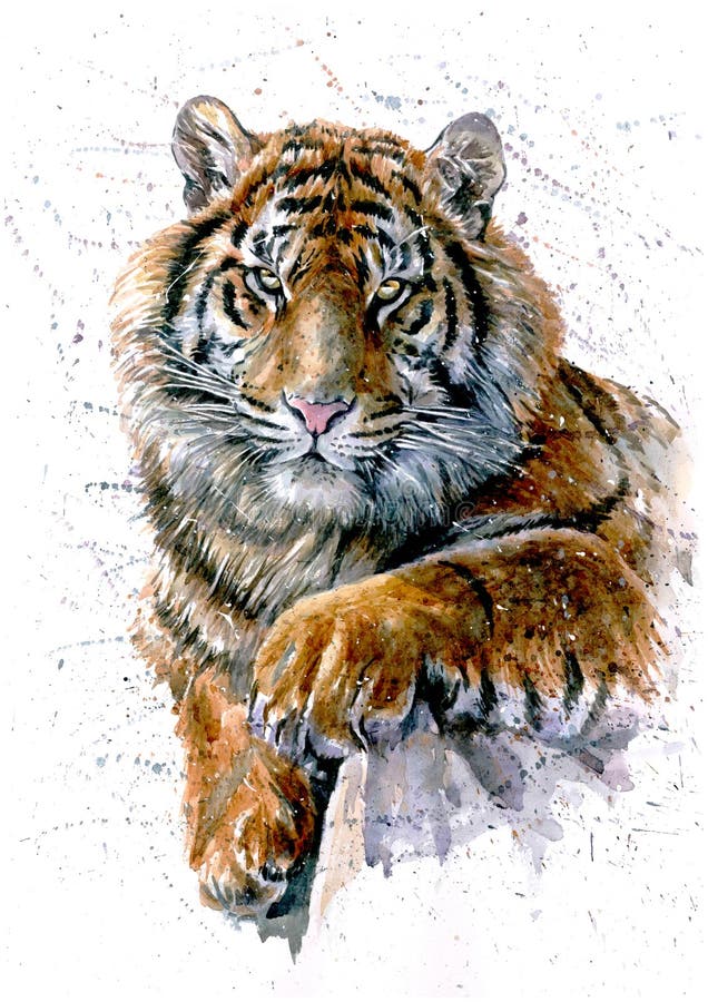 Tiger Painting Watercolour Canvas Picutre Print Wild Cat Paint Splash  Bengal Tiger 