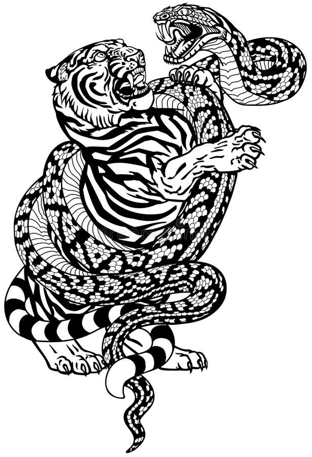 Schwarz Weiss Tattoo Schlange Vektor Abbildung Illustration Von Schwarzes Getrennt 163868210
