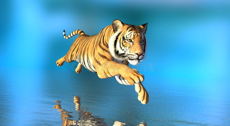 Tiger In Water On Blue Background 3D Illustration Stock Illustration -  Illustration Of Wildlife, Strong: 235013557