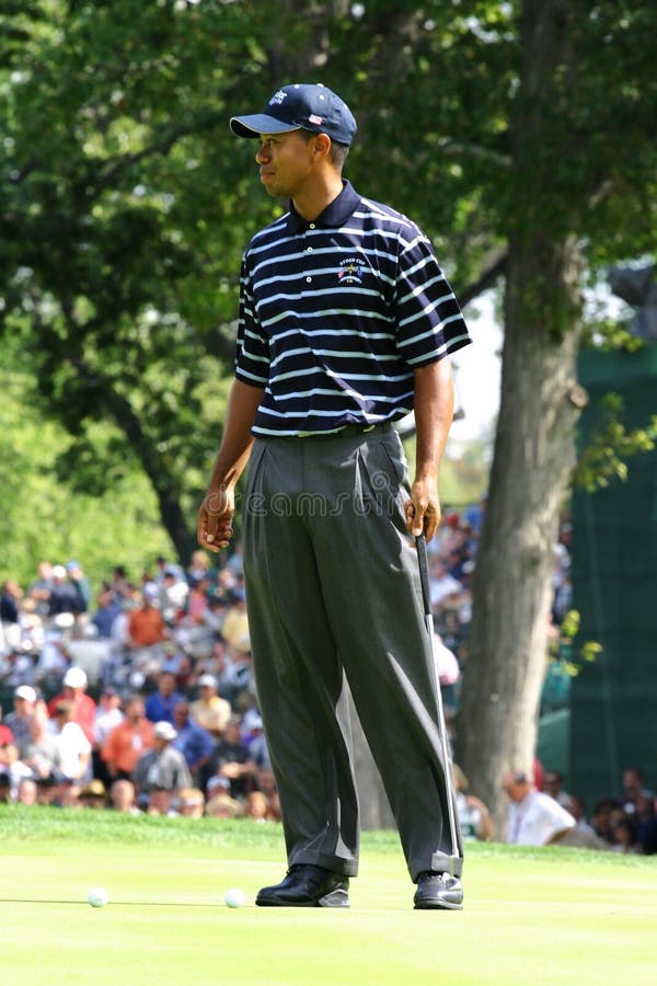 Tiger Woods royaltyfri bild Tiger Woods royaltyfri bild