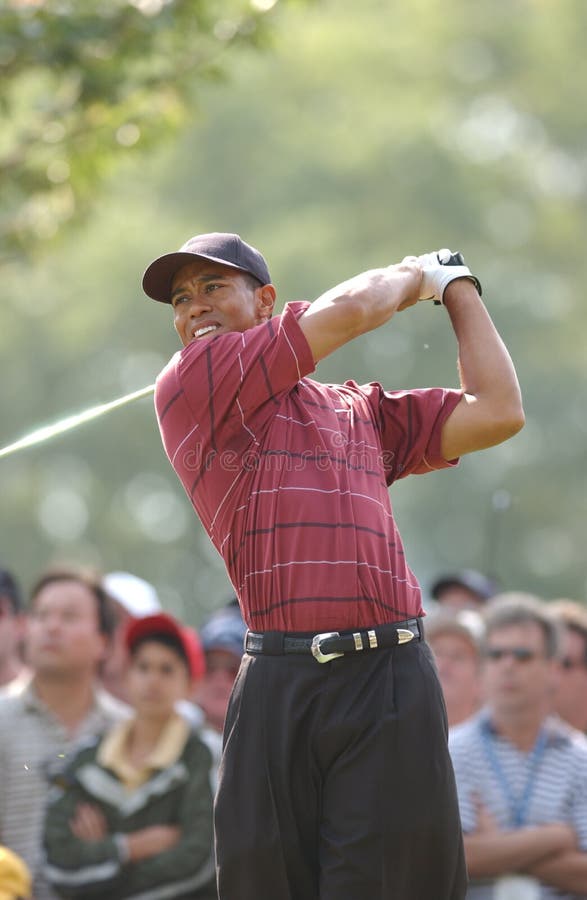 Tiger Woods royaltyfria foton Tiger Woods royaltyfria foton