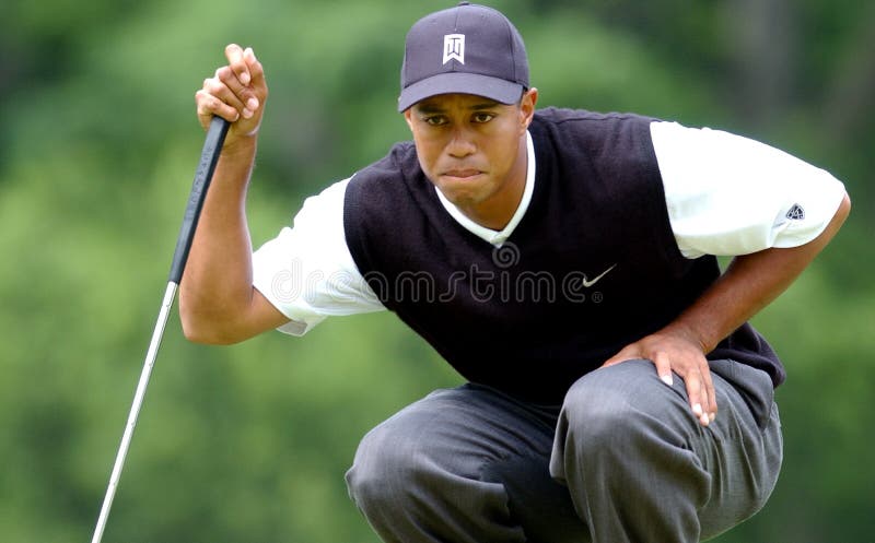 Tiger Woods eyes uma tacada leve imagem de stock royalty free Tiger Woods eyes uma tacada leve imagem de stock royalty free
