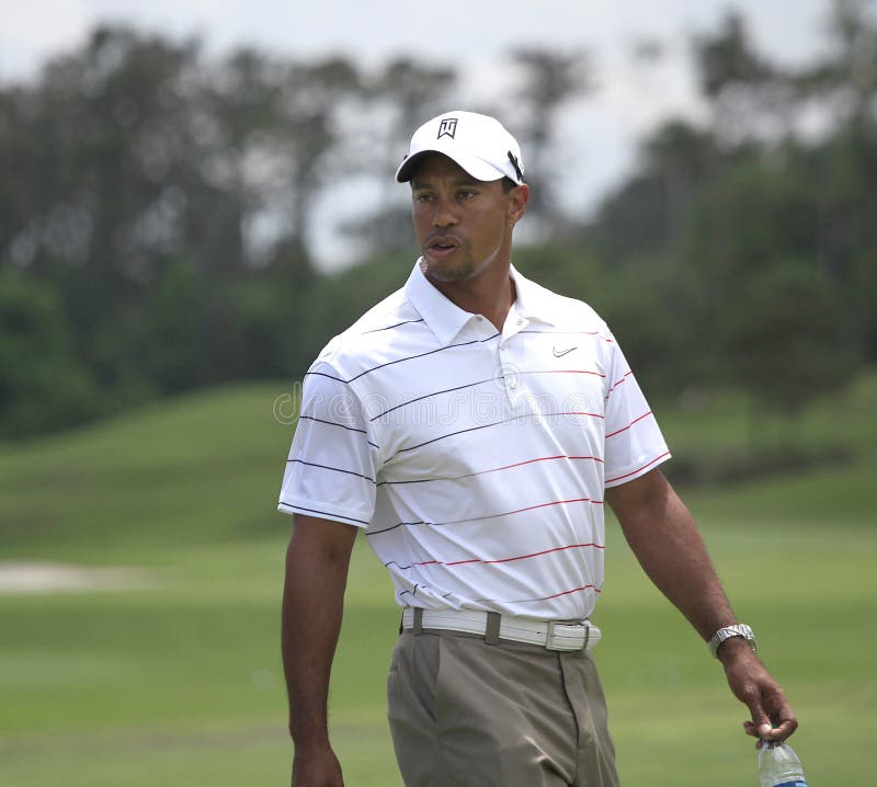 tiger woods 2012 pc download tiger woods 2012 pc download