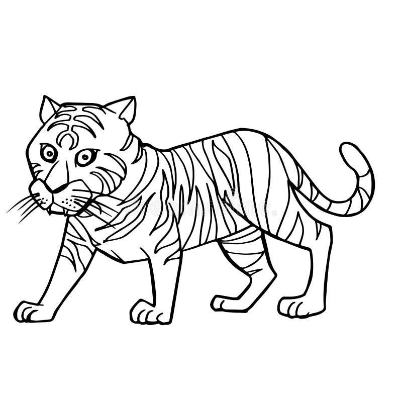 Tigerfarbton-Seitenvektor der Karikatur netter lizenzfreie abbildung