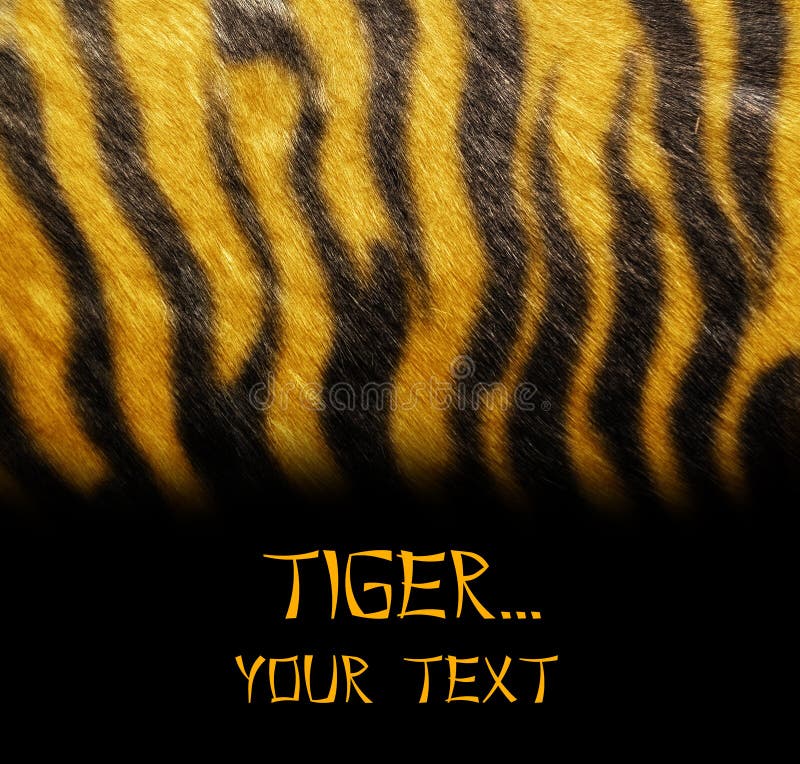 Template with tiger skin texture. Template with tiger skin texture